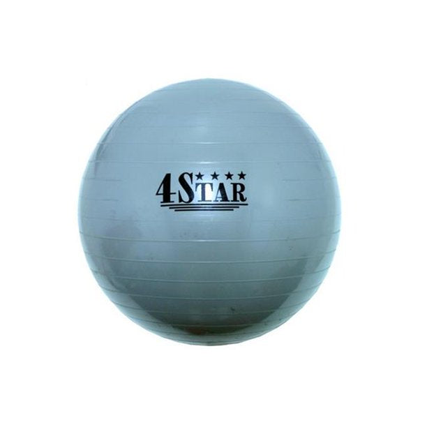 Gym Ball - Exercise Gym Ball Anti Burst Body Ball - Rex Distributor, Inc. Wholesale Licensed Products and T-shirts, Sporting goods,