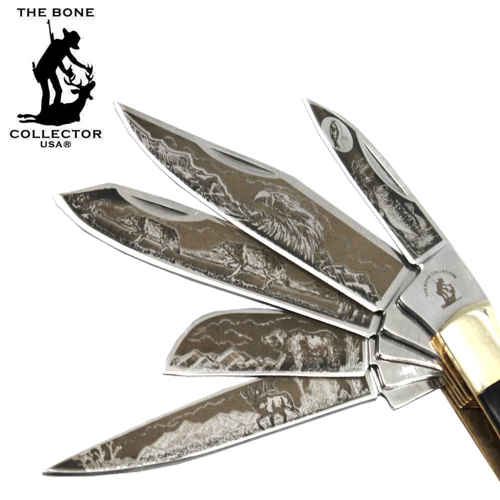 BC 5249-BH 4" 5 Blade Etched Buffalo Horn Bone Collector Pocket Knife