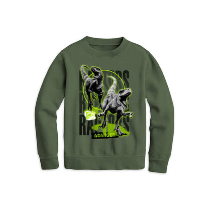 Boys Green Jurassic Park Raptor Graphic Sweatshirt