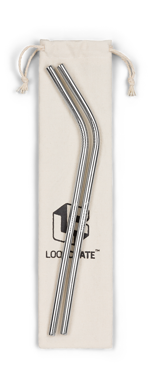 Loot Crate Metal Straws 2 Pack